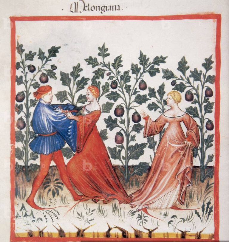 Melanzana, Tacuinum Sanitatis