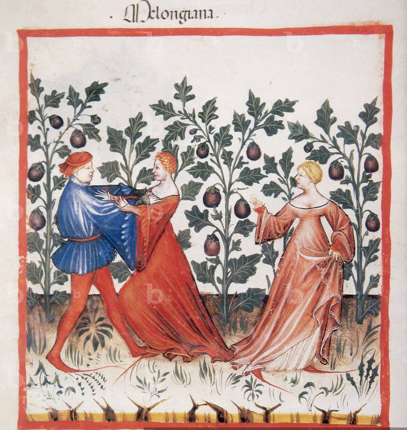 Melanzana, Tacuinum Sanitatis