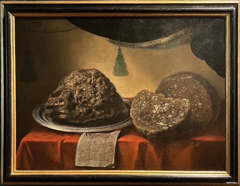 Bartolomeo Bimbi, Tartufo di Castel Leone, olio su tela (1706). Firenze, Museo della Specola.